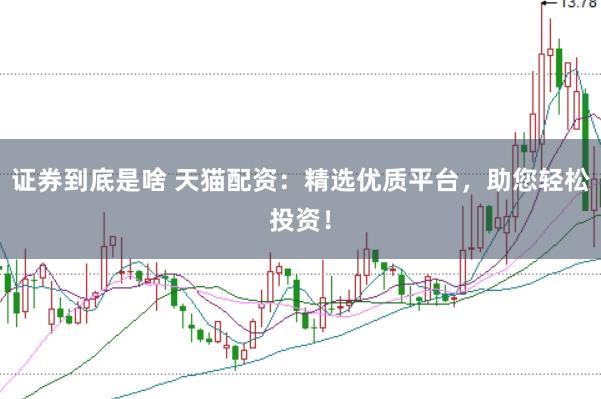 证券到底是啥 天猫配资：精选优质平台，助您轻松投资！