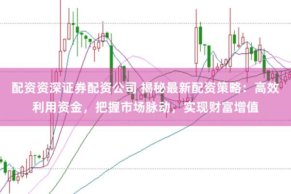 配资资深证券配资公司 揭秘最新配资策略：高效利用资金，把握市场脉动，实现财富增值