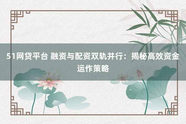 51网贷平台 融资与配资双轨并行：揭秘高效资金运作策略