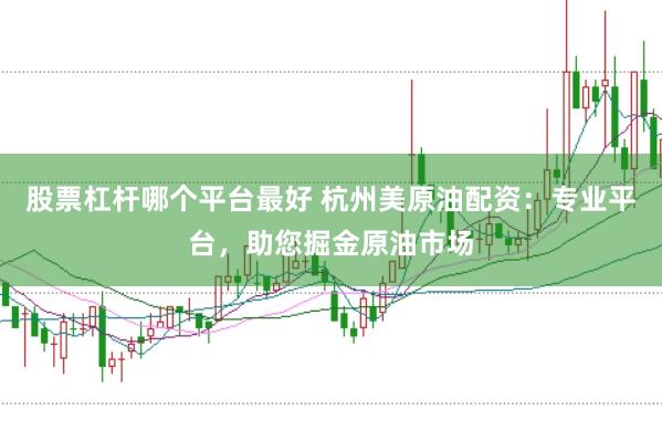 股票杠杆哪个平台最好 杭州美原油配资：专业平台，助您掘金原油市场