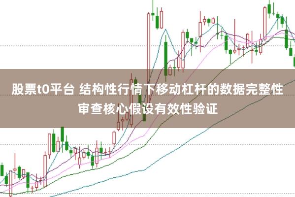 股票t0平台 结构性行情下移动杠杆的数据完整性审查核心假设有效性验证