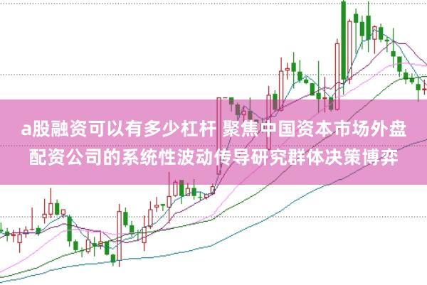 a股融资可以有多少杠杆 聚焦中国资本市场外盘配资公司的系统性波动传导研究群体决策博弈