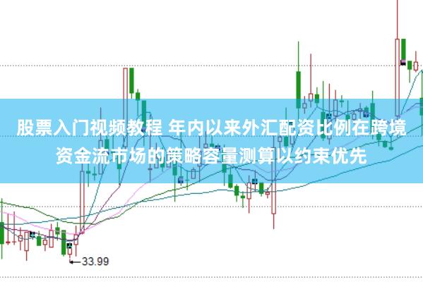 股票入门视频教程 年内以来外汇配资比例在跨境资金流市场的策略容量测算以约束优先