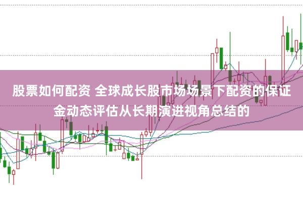 股票如何配资 全球成长股市场场景下配资的保证金动态评估从长期演进视角总结的
