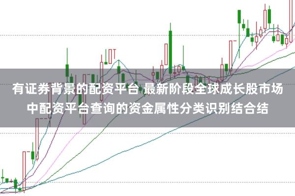 有证券背景的配资平台 最新阶段全球成长股市场中配资平台查询的资金属性分类识别结合结