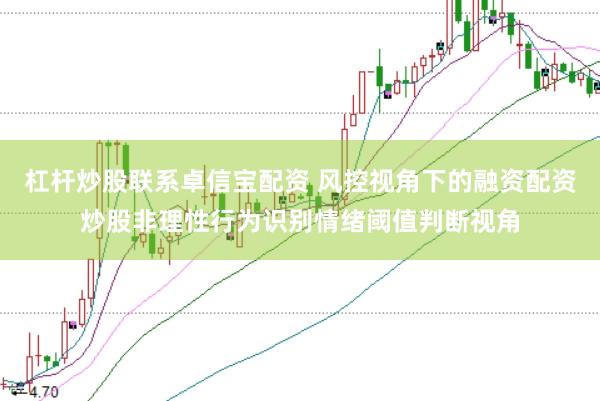 杠杆炒股联系卓信宝配资 风控视角下的融资配资炒股非理性行为识别情绪阈值判断视角