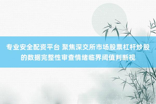 专业安全配资平台 聚焦深交所市场股票杠杆炒股的数据完整性审查情绪临界阈值判断视