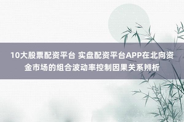 10大股票配资平台 实盘配资平台APP在北向资金市场的组合波动率控制因果关系辨析