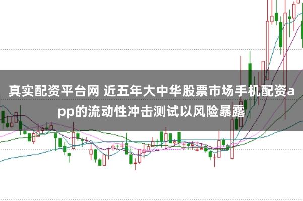 真实配资平台网 近五年大中华股票市场手机配资app的流动性冲击测试以风险暴露