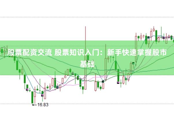 股票配资交流 股票知识入门：新手快速掌握股市基础