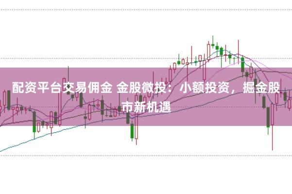 配资平台交易佣金 金股微投：小额投资，掘金股市新机遇