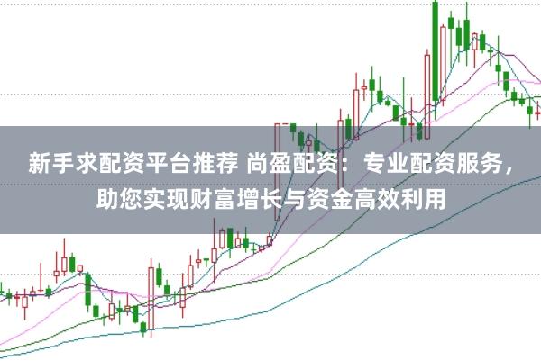 新手求配资平台推荐 尚盈配资：专业配资服务，助您实现财富增长与资金高效利用