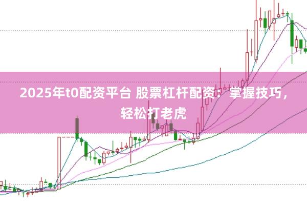2025年t0配资平台 股票杠杆配资：掌握技巧，轻松打老虎